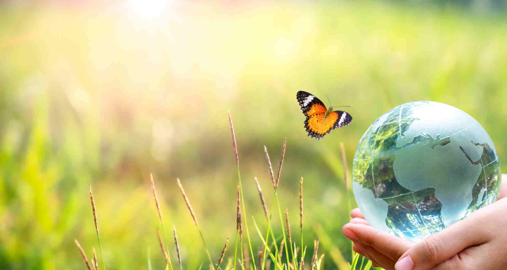 recycling-bottles-plastic