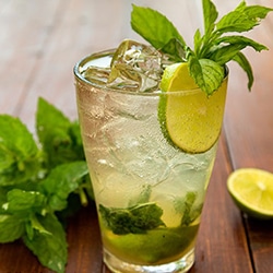 cocktail-mojito-online