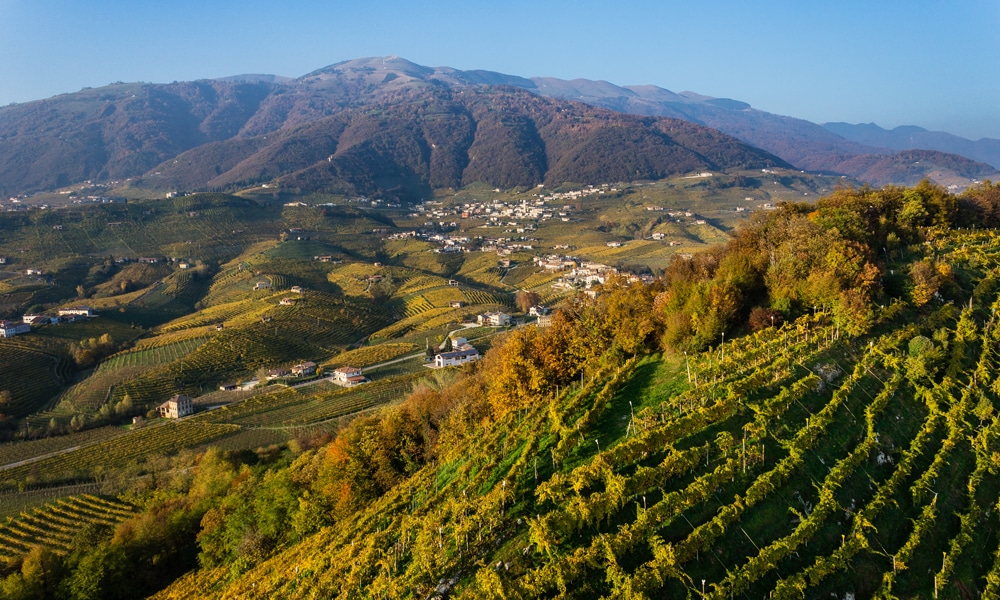 El futuro de la industria del vino NO es el consumo_Italia_Prosecco